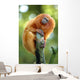 Golden Lion Tamarin Wall Decal