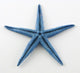 Blue Starfish Wall Decal
