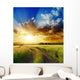 Good Sunset over Rural Wall Decal