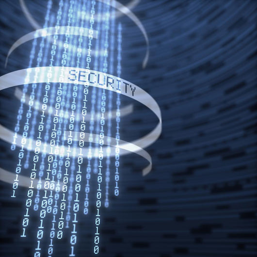 Digital Data Security Wall Decal