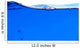 Blue Water Wall Decal