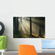 Sunrise and Forest Wall Decal