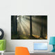 Sunrise and Forest Wall Decal