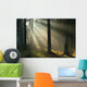 Sunrise and Forest Wall Decal
