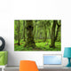 Old Natural Forest Wall Decal
