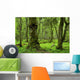 Old Natural Forest Wall Decal