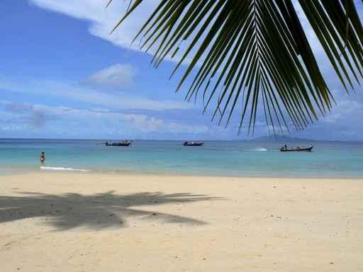 Tropical Beach and Boats Wall Decal