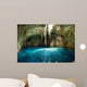 Mexican Cenote Sinkhole Wall Decal