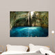 Mexican Cenote Sinkhole Wall Decal
