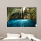 Mexican Cenote Sinkhole Wall Decal