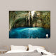 Mexican Cenote Sinkhole Wall Decal