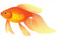 Goldfish Aquarium Wall Decal