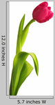 Tulip Flower Wall Decal