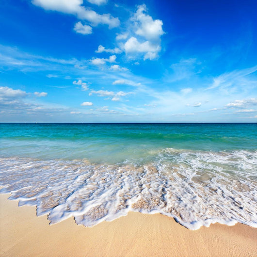 Beautiful Beach and Sea Wall Decal