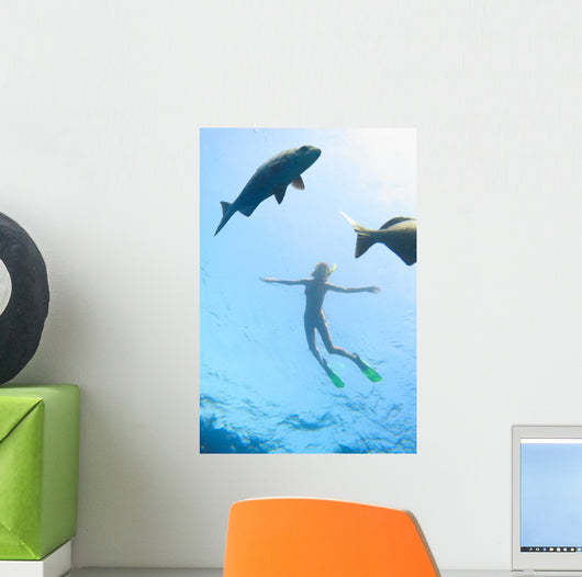Sea and Fish Wall Decal