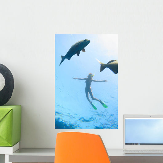 Sea and Fish Wall Decal