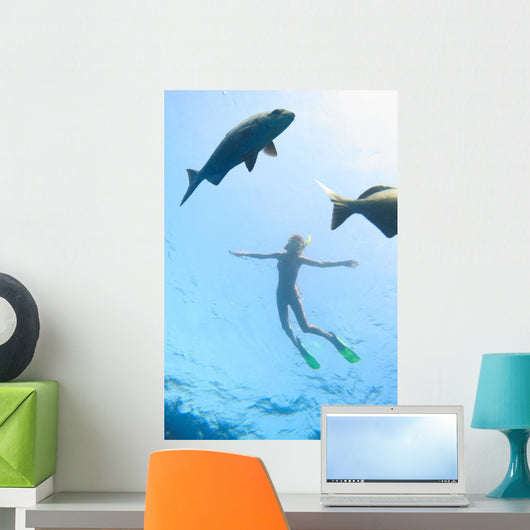 Sea and Fish Wall Decal
