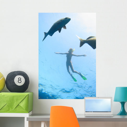 Sea and Fish Wall Decal
