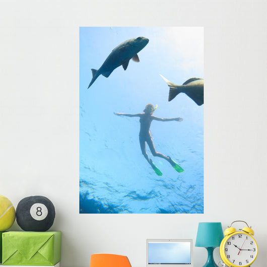 Sea and Fish Wall Decal