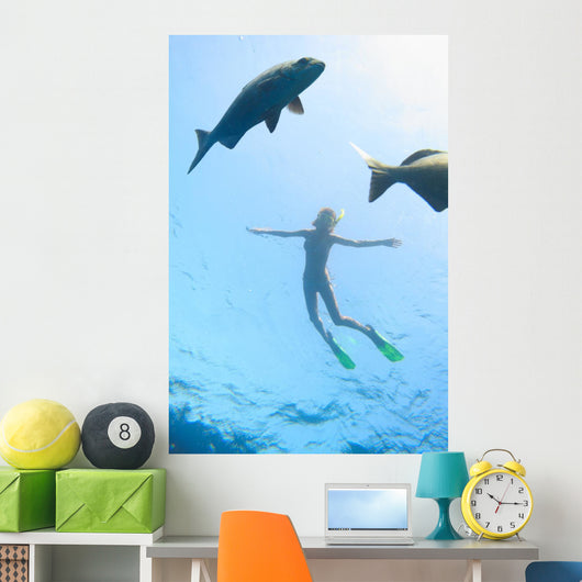 Sea and Fish Wall Decal