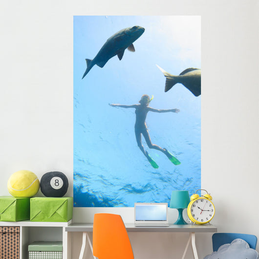 Sea and Fish Wall Decal