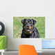 Rottweiler Dog Wall Decal