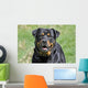 Rottweiler Dog Wall Decal