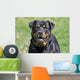 Rottweiler Dog Wall Decal