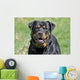 Rottweiler Dog Wall Decal