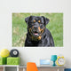 Rottweiler Dog Wall Decal