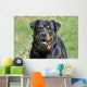Rottweiler Dog Wall Decal
