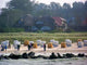 Strand Wustrow Fischland Darss Wall Decal