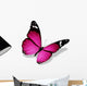 Violet Butterfly White Wall Decal