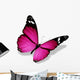 Violet Butterfly White Wall Decal