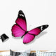 Violet Butterfly White Wall Decal