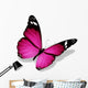 Violet Butterfly White Wall Decal