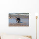 Young French Bulldog Playing Wall Decal