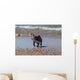 Young French Bulldog Playing Wall Decal