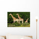 Giraffes Herd Wall Decal