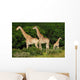Giraffes Herd Wall Decal