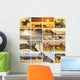 Safari Animal Collage 1 Wall Decal