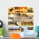 Safari Animal Collage 1 Wall Decal