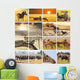 Safari Animal Collage 1 Wall Decal