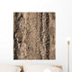 Mud Tracks Wall Decal