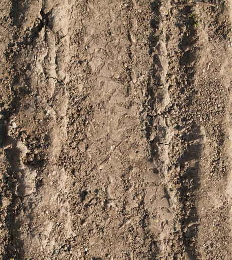 Mud Tracks Wall Decal