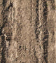 Mud Tracks Wall Decal