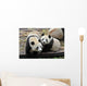 Two Giant Panda Bears Wall Decal