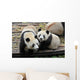 Two Giant Panda Bears Wall Decal