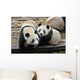 Two Giant Panda Bears Wall Decal