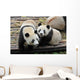 Two Giant Panda Bears Wall Decal